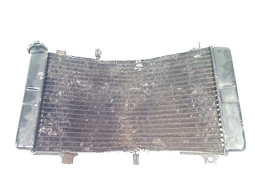 Radiator suzuki gsx - radiator,