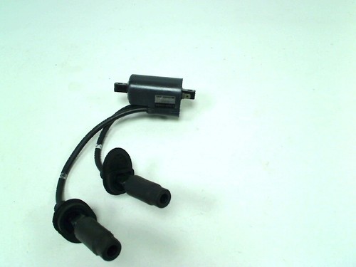 129700 2310 ignition coil - 129700-2310,