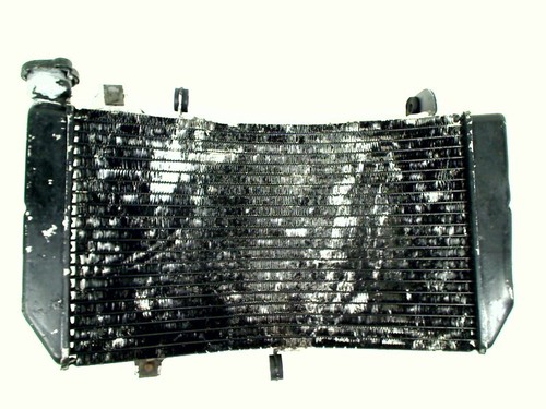 Radiator suzuki gsx - suzuki, srad